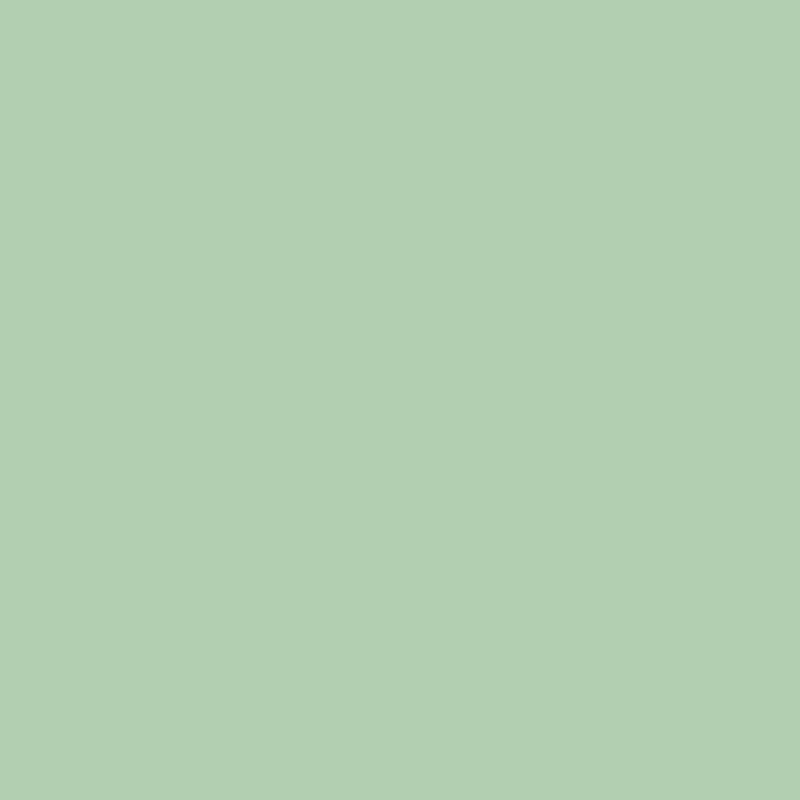 CLAIREFONTAINE Trophée — Ramette papier A4 120 g vert 250 f. – Image 2