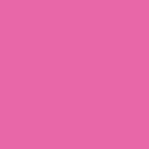 Alternative view of Clairefontaine 1017C Lot de 250 feuilles de papier Trophee A4 160 g/m² (Fuchsia/rose) (Import Allemagne)