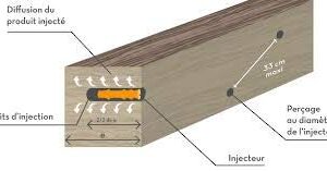 Alternative view of DALEP — Lot de 500 injecteurs bois Ø9,5 mm sans tête