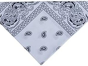 P'TIT Clown - 19114 - Bandana Blanc - Foulard Carré - Fichu Foulard Cheveux - Homme, Femme - Accessoire Déguisement Carnaval, Halloween, Manga, Cosplay - Polyester - Motifs Paisley - 54 x 54 cm