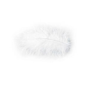 Chaks Costumes et Mariage Chaks 0702-00, Pochette 10g de Plumes 5-10cm, Blanc by