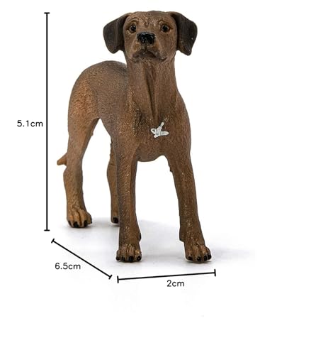 SCHLEICH — Chien de Rhodésie à crête dorsale – Image 4