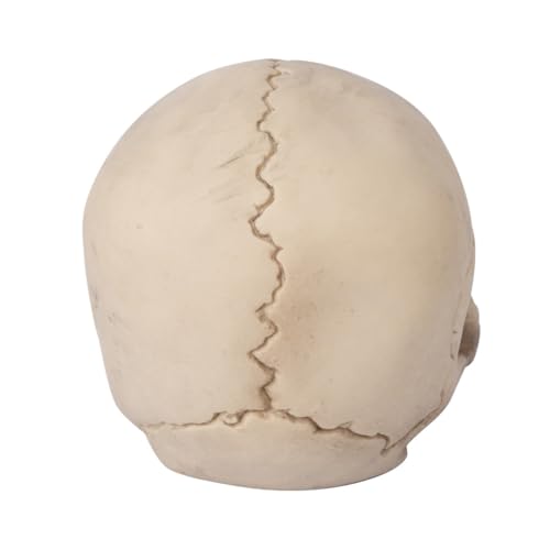 P'TIT CLOWN — Crâne Décoration Halloween à Poser 14 cm – Image 2
