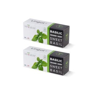 kit 2 Lingots® Basilic grand Vert