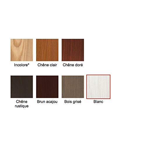 BLANCHON Tech-Wood — Lasure bois 5L Blanc – Image 2
