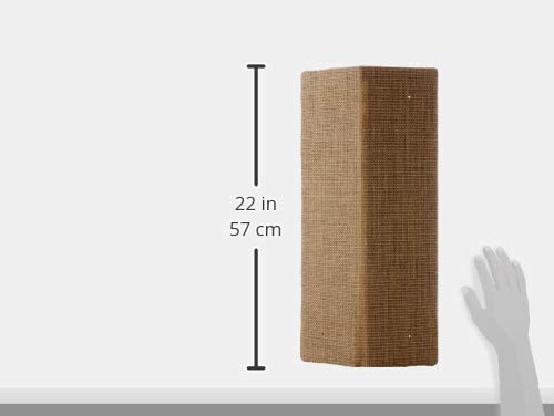 EUROPET BERNINA — Planche à Griffer en Sisal 525 x 280 mm – Image 4