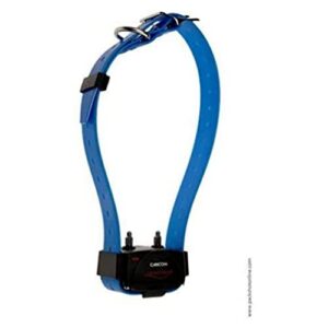 Receiver collar CANICOM with blue strap