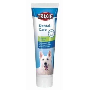 Dentifrice au goût de menthe, chien - 100 g