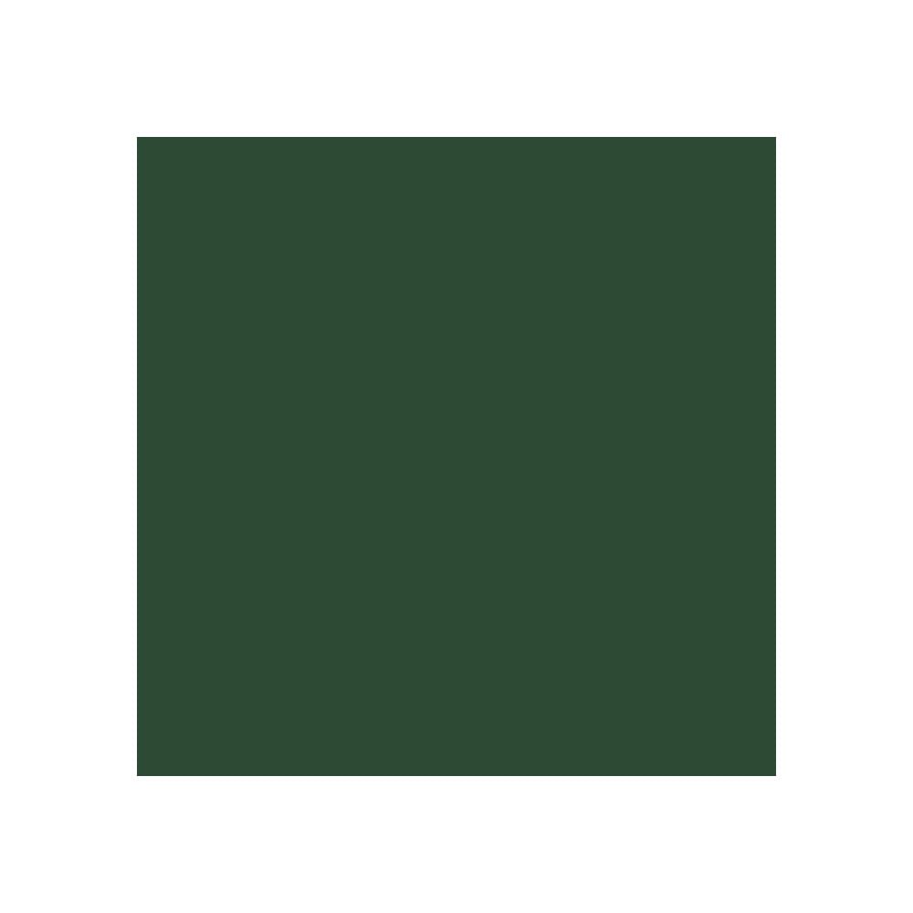 RIPOLIN — Peinture bois satin 0,5L vert Basque – Image 3