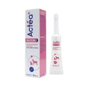 Anidev Actéa Buccal - Gel apaisant gencives Chien et Chat - Hygiène bucco Dentaire - Limite Plaque tartre et Mauvaise haleine - Effet apaisant réparateur et Protecteur 15 ML