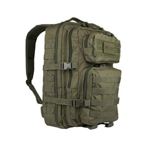 US ASSAULT PACK SM OLIV