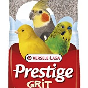 Un complément alimentaire idéal pour tous les oiseaux