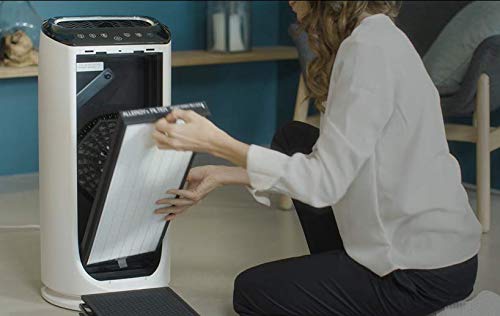 ROWENTA XD6074F0 — Filtre Allergy+ pour Purificateur d'Air – Image 3