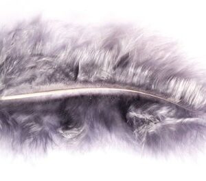 Chaks Costumes et Mariage Pochette Plumes 10G 5-10CM