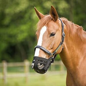 PANIER NYLON CHEVAL Nort.NOIR