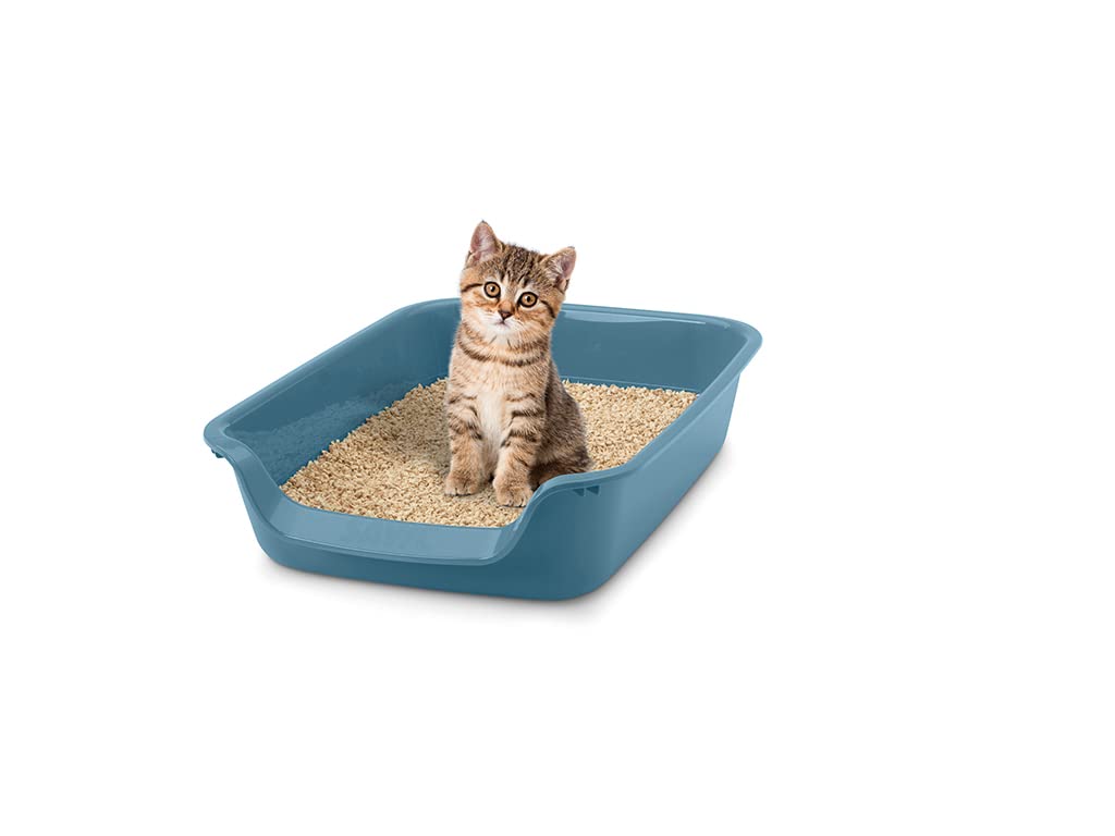 SAVIC Junior — Bac à litière bleu pour chat et chiot – Image 3