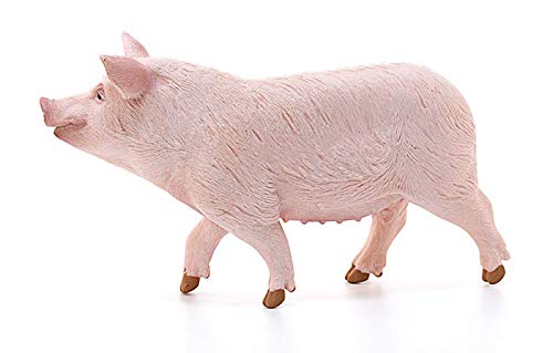 Schleich - 13782 Farm World Figurine, 13782, Multicolore – Image 2