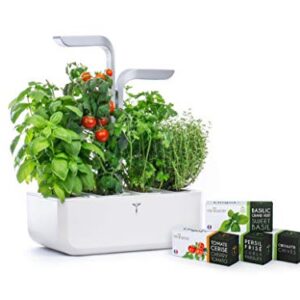 Véritable® SMART Arctic White