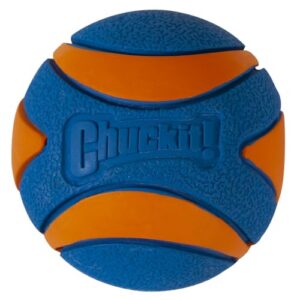 CHUCKIT! ULTRA SQUEAKER BALL  LARGE 1 PK