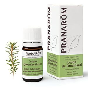 PRANARÔM — Huile essentielle Lédon du Groenland 5 ml