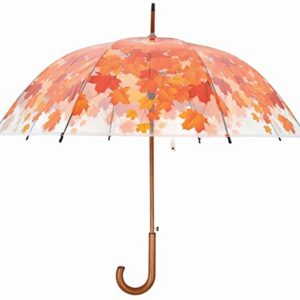 Parapluie arbre d'automne