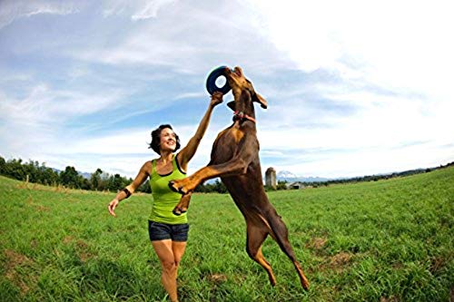 CHUCKIT ZipFlight — Frisbee flottant pour chien taille M – Image 6