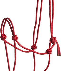 LICOL CORDE Nort.First ROUGE