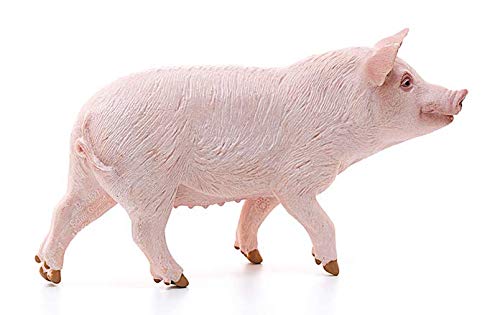 Schleich - 13782 Farm World Figurine, 13782, Multicolore – Image 4