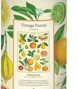 Puzzle 1000 pièces agrumes 55 x 70 cm