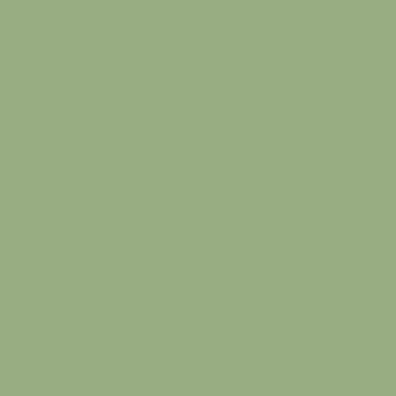 RIPOLIN — Peinture fer extérieur antirouille brillante 2L – Image 2