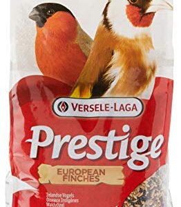 Cloud étoile Grain Gratuit Doux et Chewy Buddy Biscuits friandises pour Chien, Peanut Butter d'ameublement, 141,7 Gram