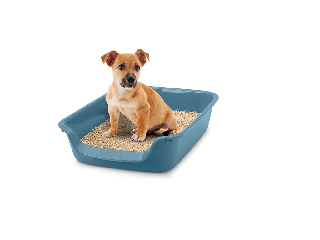 SAVIC Junior — Bac à litière bleu pour chat et chiot – Image 4