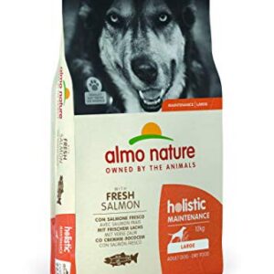 L - Maintenance - Salmon