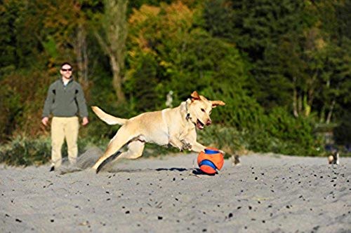 CHUCKIT — Jouet pour Chien Kick Fetch 14 cm Taille S – Image 4