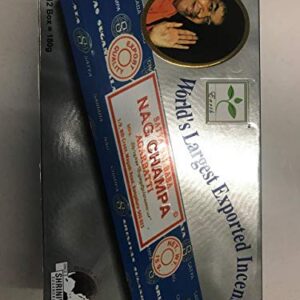 ENCENS NAG CHAMPA 15G PAR 12
