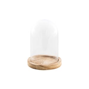 CHAKS — Cloche en Verre sur Support Bois 10x13,7 cm