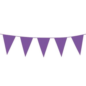 Boland - Chaîne de fanions, longueur 10 mètres, chaîne de drapeaux, guirlande en plastique, décoration suspendue, carnaval, fête déguisée, anniversaire, jardin d'enfants, discothèque