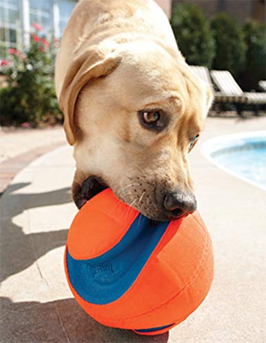 CHUCKIT — Jouet pour Chien Kick Fetch 14 cm Taille S – Image 7