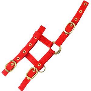 LIC.NYL.REGL.Nort.MINI FO RGE