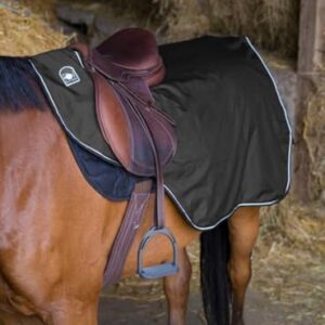 C.REINS RW IMP.POL.NOIR 140