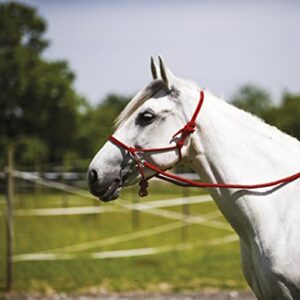 LICOL ETHO.+RENES Norton ROUGE