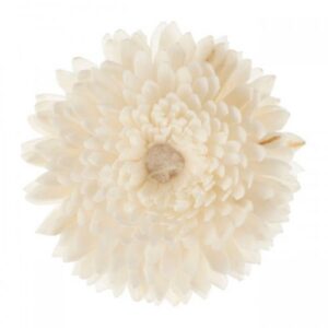 Goa Clem - Fleur de Goatier Christen GM - Taille : diamètre : 11 cm