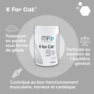 Alternative view of MP LABO K for Cat — 60 Gélules pour Chien et Chat