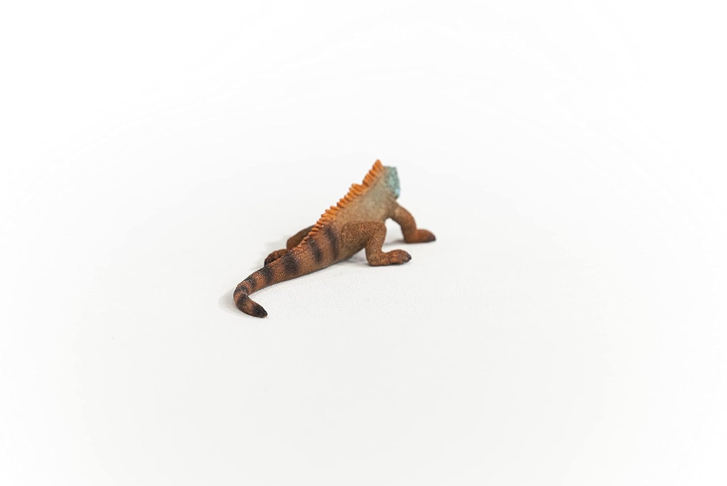 SCHLEICH Wild Life — Figurine Iguane multicolore – Image 5