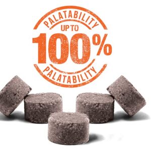 Alternative view of TVM Alphazium TT — Complément alimentaire chiens/chats S x30