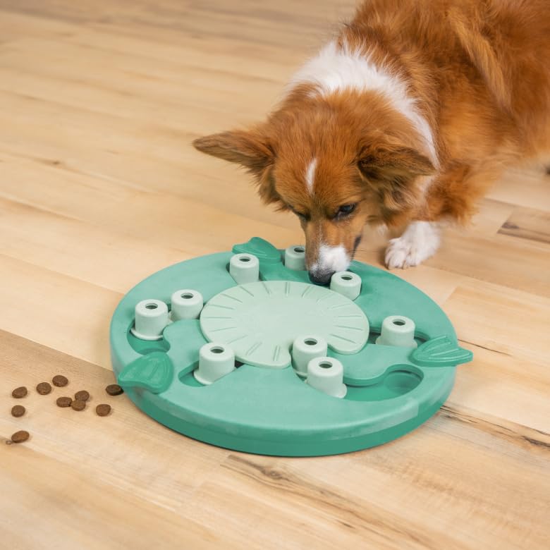OUTWARD HOUND Nina Ottosson — Puzzle pour chien Dog Worker – Image 4