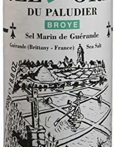 ERIC BUR Sel Fin Gris du Paludier de Guérande Boîte Verseuse 250 g - Lot de 6