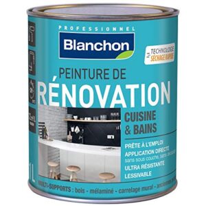 Blanchon Peinture de Rénovation 1L - Couleur - Noir