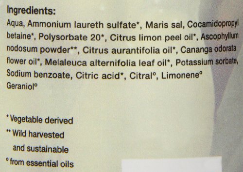 FAITH IN NATURE — Gel Douche et Bain Algues & Agrumes 400ml – Image 6