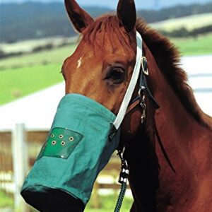 MUSETTE CANVAS H-Tonic VERT